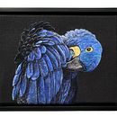Hyacinth Macaw Portrait. Un proyecto de Tejido, Ilustración naturalista				 y Artesanía de Dani Ives - 02.10.2021