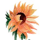 31 dias 31 dibujos 2021 . % Pilar Clavijo Coronel tarafından hazırlanan Geleneksel illüstras, on, Editor, al İllüstras, Ve on projesi - 07.30.2021