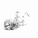 31 días 31 dibujos Ein Projekt aus dem Bereich Traditionelle Illustration von Jorge Landivar - 03.10.2021