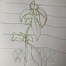 31 days 31 drawings 2021. Un progetto di Disegno di Kenneth McLoone - 12.09.2021