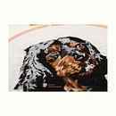 Mi Proyecto del curso: Needle painting para principiantes. Un proyecto de Bordado e Ilustración naturalista				 de Evelin Moreno Murillo - 04.10.2021