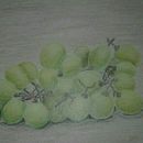 Lapices de colores. Un projet de Illustration traditionnelle, Dessin artistique et Illustration naturaliste de Ana Mile Sanabria - 04.10.2021