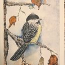 Uccellini. Un progetto di Illustrazione tradizionale di lucia_menato - 01.09.2021