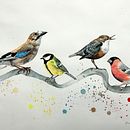 My project in Artistic Watercolor Techniques for Illustrating Birds course. Un progetto di Illustrazione tradizionale, Pittura ad acquerello, Disegno realistico e Illustrazione naturalistica di Marianne Elvan Barfoed - 06.10.2021