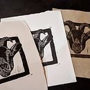 Linocut Prints of Plants and Animals. Een project van  Beeldende kunst y Traditionele illustratie van Rebecca Elyanow - 03.10.2021