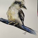 My project in Artistic Watercolor Techniques for Illustrating Birds course . % Jill Robinson tarafından hazırlanan Geleneksel illüstras, on, Sulubo, a Resim, Gerçekçi Çizim, Doğalcı İllüstras, Ve on projesi - 10.06.2021