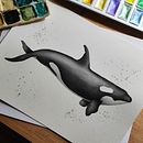 Mi Proyecto del curso: Técnicas de ilustración naturalista: ballenas en acuarela. Ilustração tradicional, Design de cartaz, Ilustração digital, e Mangá projeto de Núria Puig Esteban - 08.10.2021