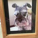 Mi Proyecto del curso: Iniciación al enmarcado. Un progetto di Artigianato, Interior design, Interior Design, DIY e Falegnameria  di Adriana Ballestero - 08.10.2021