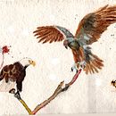 My project in Artistic Watercolor Techniques for Illustrating Birds course: Far Across the Sea. Un proyecto de Ilustración tradicional, Pintura a la acuarela, Dibujo realista e Ilustración naturalista				 de Mary Roß - 07.10.2021