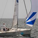 The Hatching of the Relationship. Projekt z dziedziny Edukacja użytkownika Andreea Stan - 02.05.2021