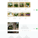 Tienda Online Floristería Rosamary. Projekt z dziedziny Tworzenie stron internetow, ch, Web design,  e-commerce, JavaScript, HTML i CSS użytkownika García Cardenal - 02.04.2020