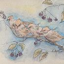 Trying to paint watercolors . Un progetto di Illustrazione tradizionale di uitdeboschstella - 15.10.2021