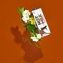 Retoques para NOT CO Ein Projekt aus dem Bereich Fotoretuschierung, Fotografie und Werbefotografie von Karina Meza - 15.10.2021