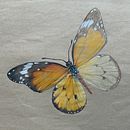 Drawings of nature in colored pencil. Un projet de Illustration traditionnelle de Maike Maaßen - 17.10.2021