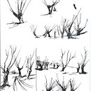 sketch. Traditional illustration project by Monika Kuczyńska-Kozerska - 01.01.2003
