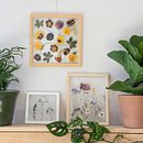 My project in Basic Botanical Pressing Techniques course. Un proyecto de Artesanía, Bellas Artes, Collage, DIY, Diseño floral y vegetal de Lili Kovács - 18.10.2021