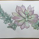 This was more successful than my first succulent. Will play around with blending colors more.. Een project van Traditionele illustratie van Julie Million - 20.10.2021
