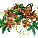 PASSIFLORES. Projekt z dziedziny Tradycyjna ilustracja użytkownika Patricia - 22.10.2021