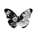 Mi Proyecto del curso: Dibujo naturalista artístico a lápiz. Un proyecto de Dibujo a lápiz, Dibujo, Dibujo artístico e Ilustración naturalista				 de Iván Salamanca - 22.10.2021