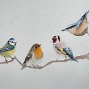 Mijn project van de cursus: Vogels illustreren met artistieke aquarel . % Renske Terpstra tarafından hazırlanan Geleneksel illüstras, on, Sulubo, a Resim, Gerçekçi Çizim, Doğalcı İllüstras, Ve on projesi - 10.05.2021