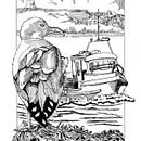 My project in Dip Pen and Ink Illustration: Capturing The Natural World course . % Ira Theobold tarafından hazırlanan Eskiz çizimi, Çizim, Sanatsal Çizim, Eskiz defteri, Mürekkep İllüstras, onu, Doğalcı İllüstras, Ve on projesi - 10.22.2021