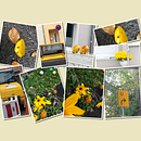 Fotocollagen . % Helga Hansmann tarafından hazırlanan Fotoğrafçılık, Geleneksel illüstras, Ve on projesi - 10.25.2021