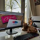 Mi Proyecto del curso: Estrategia de marca en Instagram. Social Media, Digital Marketing, Mobile Marketing, Instagram, Communication & Instagram Marketing project by Charo Koopmans - 11.02.2021