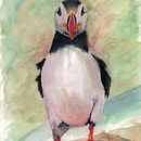 Mon projet du cours : Techniques artistiques d'aquarelle pour illustrer les oiseaux. Un proyecto de Pintura a la acuarela, Dibujo realista, Ilustración naturalista				 e Ilustración tradicional de michel Champagne - 20.11.2021