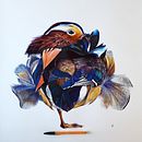 Mandarijn Eend - balpen. Een project van  Beeldende kunst van Tracie Callaghan - 29.10.2021