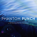 PHANTOM PUNCH. Un proyecto de Br, ing e Identidad, Dirección de arte y Diseño gráfico de Jefferson PAGANEL - 29.10.2021
