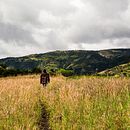 Fotografia Senti-Pensante . Fotografie, Fotografie în aer liber, Instagram Fotografie, Fotografie documentară și Compoziție fotografică de fabio steven gonzalez valencia - 10.30.2021