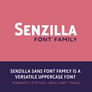 Senzilla Sans Font Family. Projekt z dziedziny T, pografia, Projektowanie t, pografii, Projektowanie logot, pów, Br, ing i ident, fikacja wizualna, Grafika ed, torska, Multimedia i Projektowanie graficzne użytkownika Andreu Gallart Ruiviejo - 01.11.2021