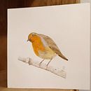 Mi Proyecto del curso: Ilustración naturalista de aves con acuarela Ein Projekt aus dem Bereich Traditionelle Illustration, Aquarellmalerei, Realistische Zeichnung und Naturalistische Illustration von Anna Lorita - 01.11.2021