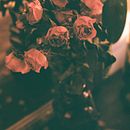 Tarde de Salsa. Een project van Schrijven van Marina Carpini - 27.10.2019