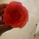 Flores de azúcar para Cake design. Un progetto di  di Maribel Blanco sandoval - 01.11.2021