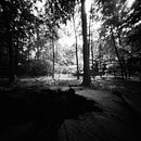 Homemade cameras and pinhole images. Un progetto di Fotografia di kevinpatrick_jr - 02.11.2021