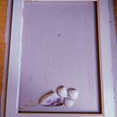 Mi Proyecto del curso: Las leyes de la percepción visual: unidad, peso, equilibrio y movimiento . Direcția artistică, Arte plastice, Ilustrație tradițională și Fotografie de Surya - 11.03.2021