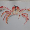 Meu projeto do curso: Ilustração em aquarela com influência japonesa. Drawing, Traditional illustration, and Watercolor Painting project by noemi_murata - 11.03.2021