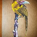 Meu projeto do curso: Ilustração naturalista de aves com aquarela. Un progetto di Illustrazione tradizionale, Pittura ad acquerello, Disegno realistico e Illustrazione naturalistica di Werneck Castro - 04.11.2021