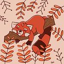 Fun Illustrations: Red Panda . Ilustrație tradițională & Ilustrație digitală de Abigail Smoot - 11.04.2021