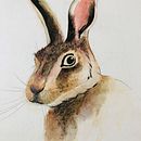 Mein Kursprojekt: Experimentelle Aquarelltechniken für Anfänger. Een project van Traditionele illustratie,  Beeldende kunst, Aquarelschilderen y Naturalistische illustratie van agnesmichel - 04.11.2021