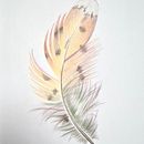 Feder - Buntstift . Un progetto di Pittura, Creatività e Disegno di Katrin - 04.11.2021