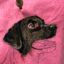 Mi Proyecto del curso: Needle felting: crea retratos con lana. Artesanato, Ilustração naturalista e Ilustração tradicional projeto de Víctor Arvizu - 04.11.2021