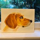 watercolour dog . Lukisan Cat Air proyek oleh m_hare - 11.05.2021