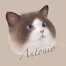 My project in Naturalist Animal Illustration with Procreate course. Un progetto di Illustrazione tradizionale, Illustrazione digitale, Disegno realistico e Illustrazione naturalistica di Annie Lee - 05.11.2021
