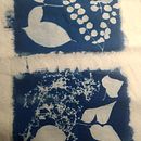 Mi Proyecto del curso: Cianotipia: técnica de impresión con luz. Un progetto di Artigianato, Belle arti, Stampa, DIY e Fotografia analogica di churrumaqui - 06.11.2021