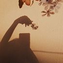 my vsco cam | @yorhanne . % yorhanne oliveira tarafından hazırlanan Fotoğrafçılık projesi - 11.06.2021