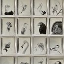 My final project in Daily Sketching for Creative Inspiration course. Un proyecto de Ilustración tradicional, Bocetado, Creatividad, Dibujo y Sketchbook de todd_bushman - 28.12.2022