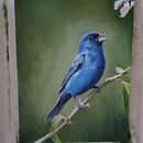 My project in Classical Oil Painting for Naturalist Bird Portraiture course Ein Projekt aus dem Bereich Bildende Künste, Malerei, Ölmalerei und Naturalistische Illustration von aldionot19100 - 08.11.2021