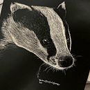 Otro proyecto con la técnica de Scratchboard: Tejón de perfil. Un projet de Illustration traditionnelle et Illustration naturaliste de Guillermo García-Saúco Sánchez - 08.11.2021